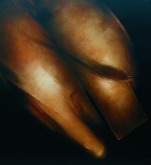 omnus200101 picture